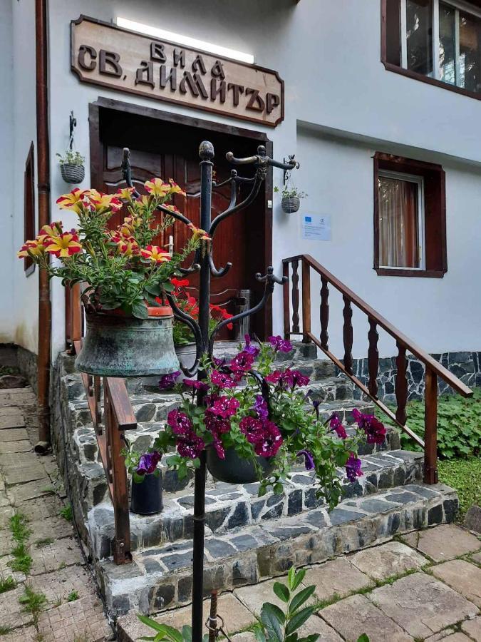 Villa Sveti Dimitar Borovec Exteriér fotografie